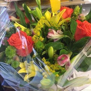 Meet your Posher, Teresa